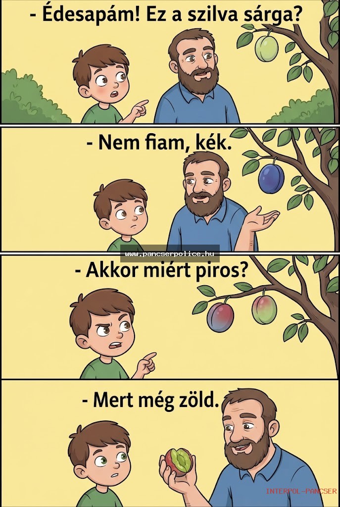Saját!