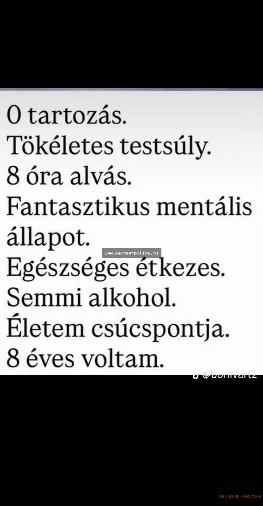 PancserPOLICE Akta #25 - Egy bolti eladó a kerítés tetején ülve percekig magyarázta a kukának, hogy hol a jobb vaj.