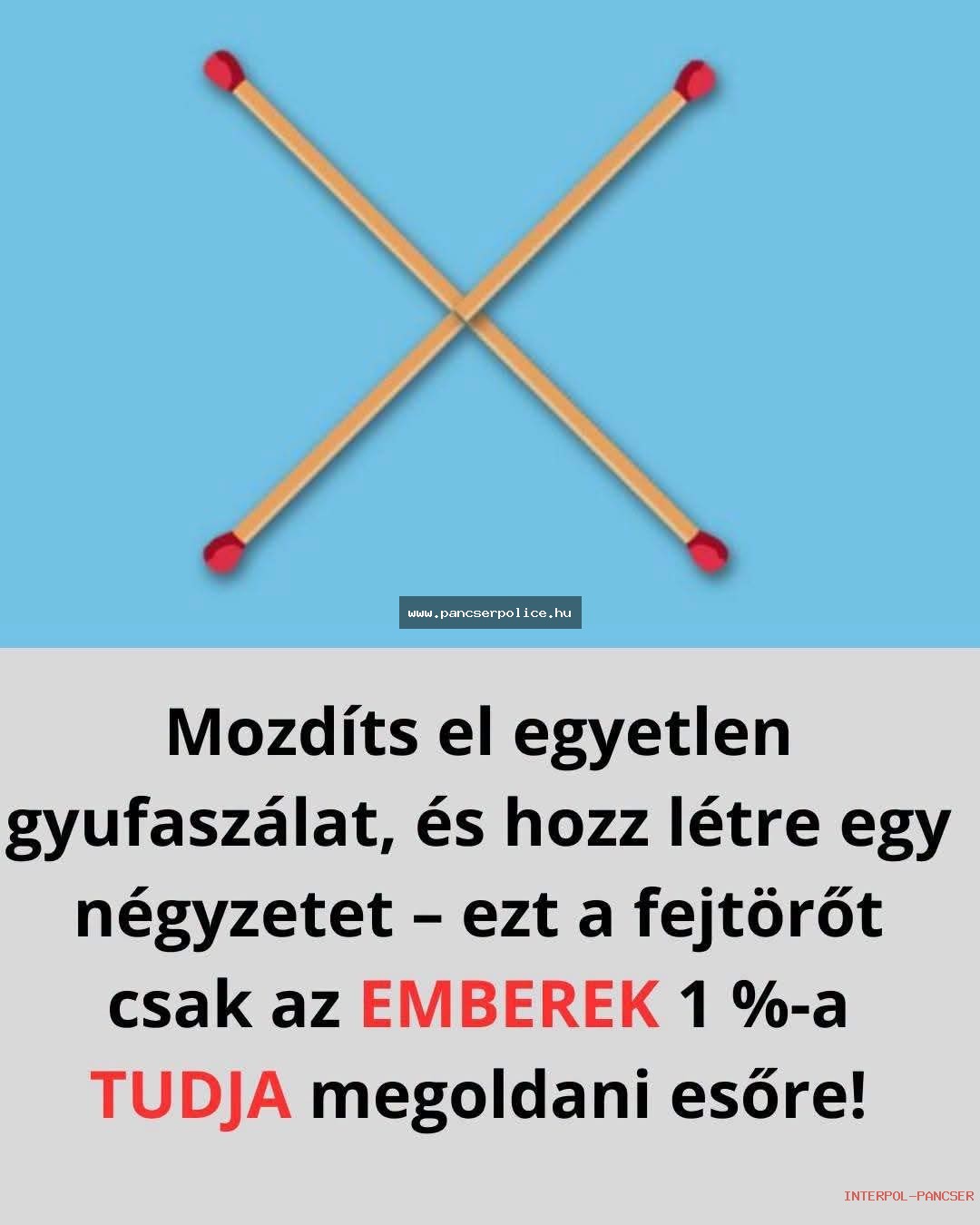 PancserPOLICE Akta #30 - Egy gyanúsan csillogó napszemüveges alak a falu főterén megpróbálta feltölteni a téglát a mikróban.