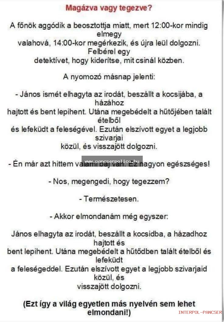 PancserPOLICE Akta #35 - Egy gyanúsan csillogó napszemüveges alak a leejtett csavarok keresése közben megpróbálta levédetni a saját horkolását mint hangzást.