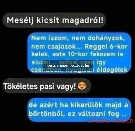 PancserPOLICE Akta #49 - Egy gyanús alak a leejtett csavarok keresése közben szöcskét akart idomítani szerszámosládával.
