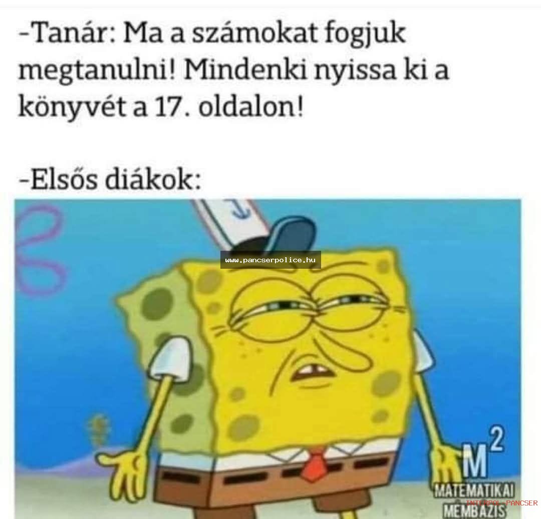 PancserPOLICE Akta #59 - Egy álcázott ügynök a kocsma teraszán távirányítóval akarta beindítani a fűnyírót.