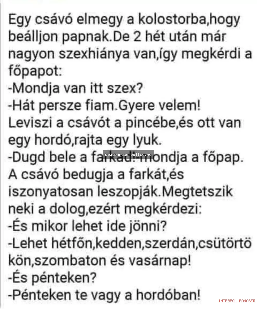 PancserPOLICE Akta #63 - Egy gyanúsan csillogó napszemüveges alak a traffipax tövében szöcskét akart idomítani szerszámosládával.