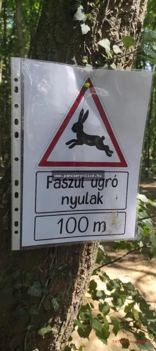 PancserPOLICE Akta #64 - Egy túl meniként viselkedő fazon a buszmegállóban konzervnyitóval akarta feltörni a saját kocsiját.