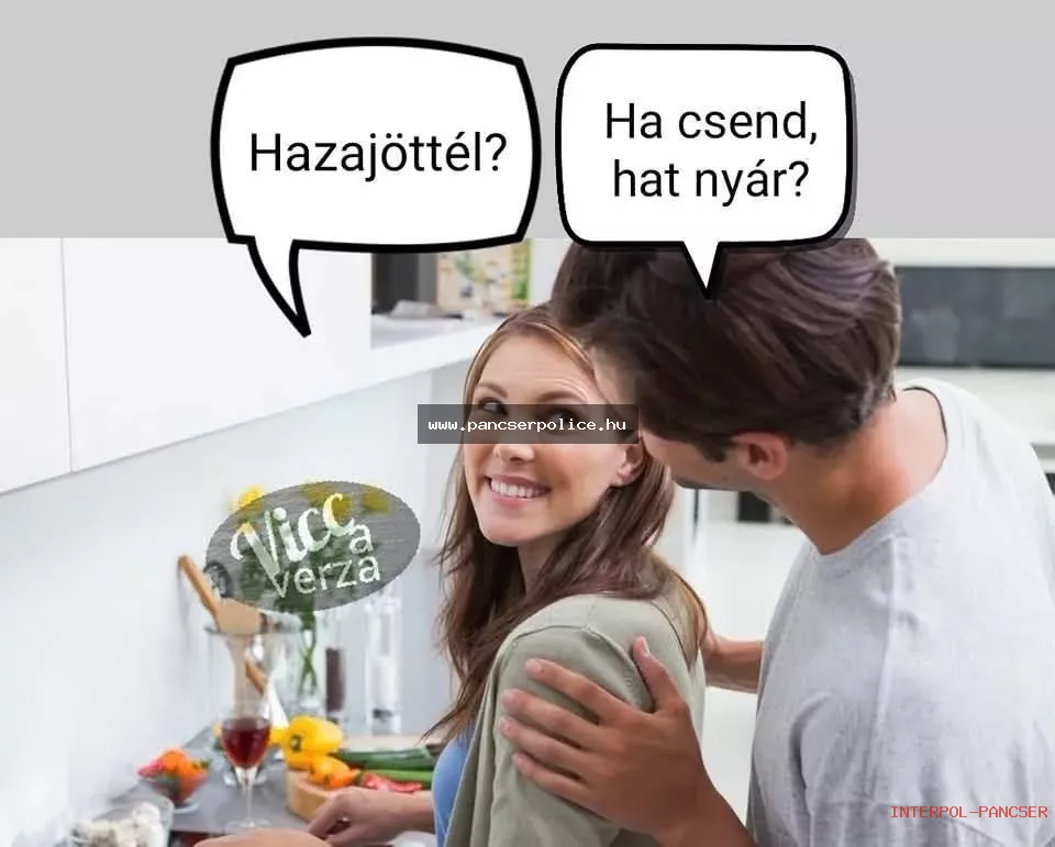 PancserPOLICE Akta #105 - Egy gyanúsan nyugodt nyugdíjas a hűtőszekrény ajtajában három napja fixen bámulja a lekapcsolt tévét.