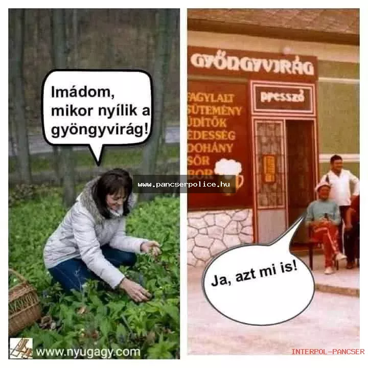 PancserPOLICE Akta #122 - Egy gyanúsan nyugodt nyugdíjas a helyi Spar előtt meggyőzte a kaputelefont, hogy ő a tulajdonos.