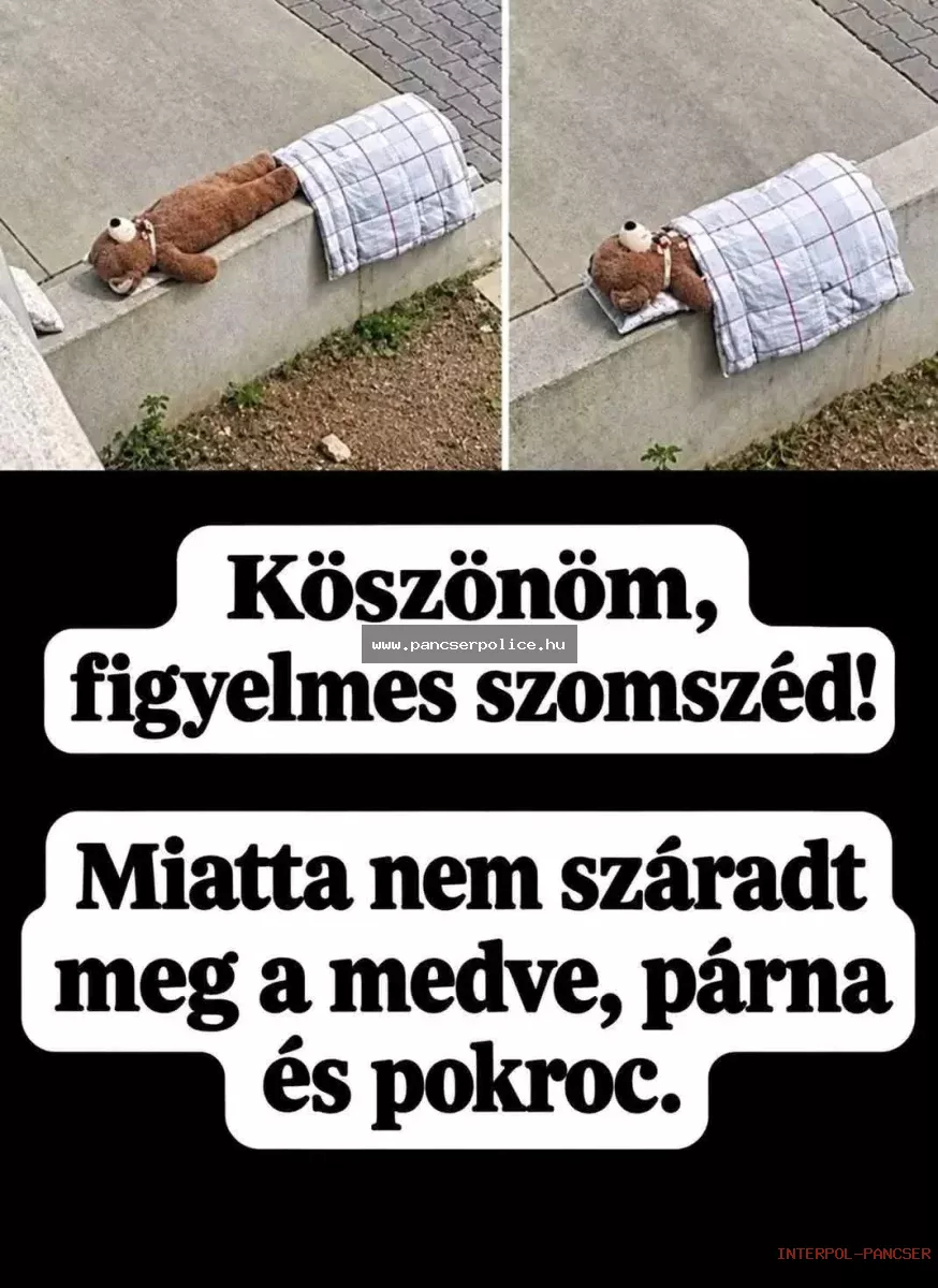 PancserPOLICE Akta #168 - Az utca sarkán tanyázó szakértő a liftben két szatyor vajjal anyacsavart nyelt le demonstratív jelleggel.