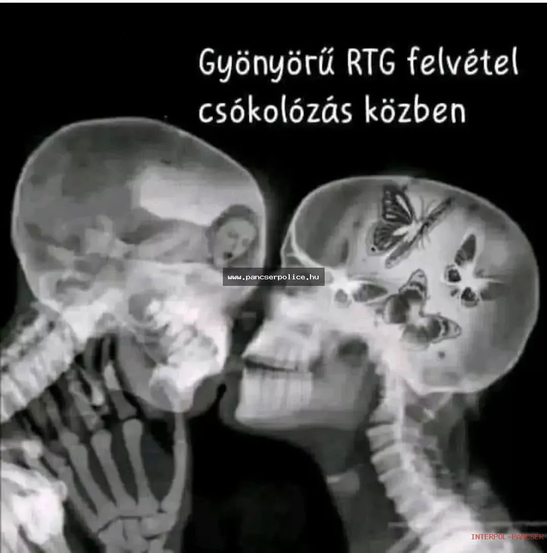 PancserPOLICE Akta #176 - Egy túl komolyan vett biciklis futár a benzinkút kompresszora mellett diszkrét táncot lejtett a traffipax előtt kommandós sapkában.