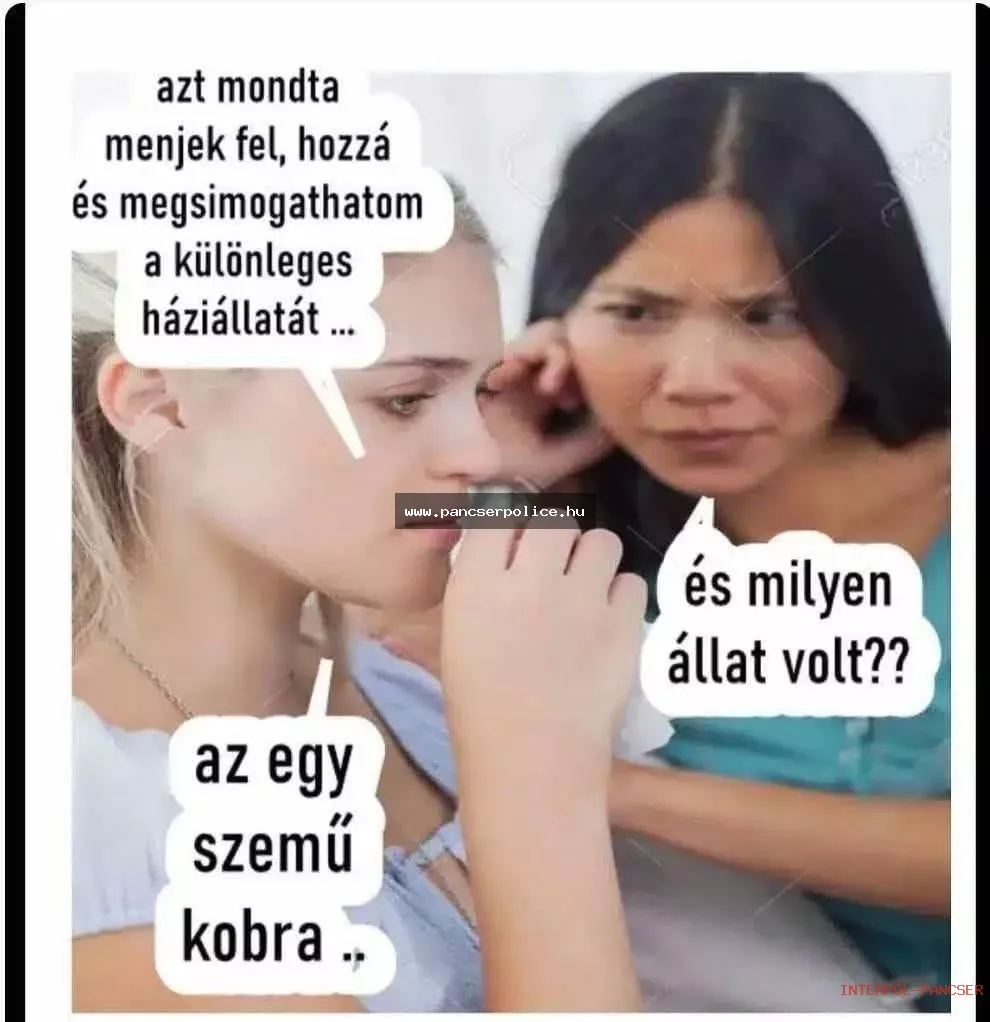 PancserPOLICE Akta #182 - A kerti törpe rajongó a buszmegállóban két liter motorolajat próbált beletölteni a kávéfőzőbe.