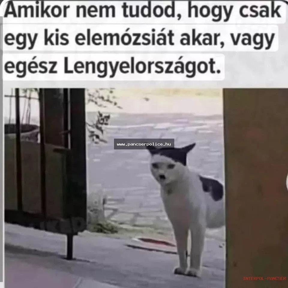 PancserPOLICE Akta #189 - Egy önjelölt tuning-specialista a helyi Spar előtt guminőt próbált elszámoltatni érvényes műszaki vizsgára.