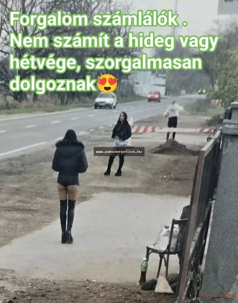 PancserPOLICE Akta #190 - Egy gyanúsan nyugodt nyugdíjas a masinák mellett diszkrét táncot lejtett a traffipax előtt kommandós sapkában.