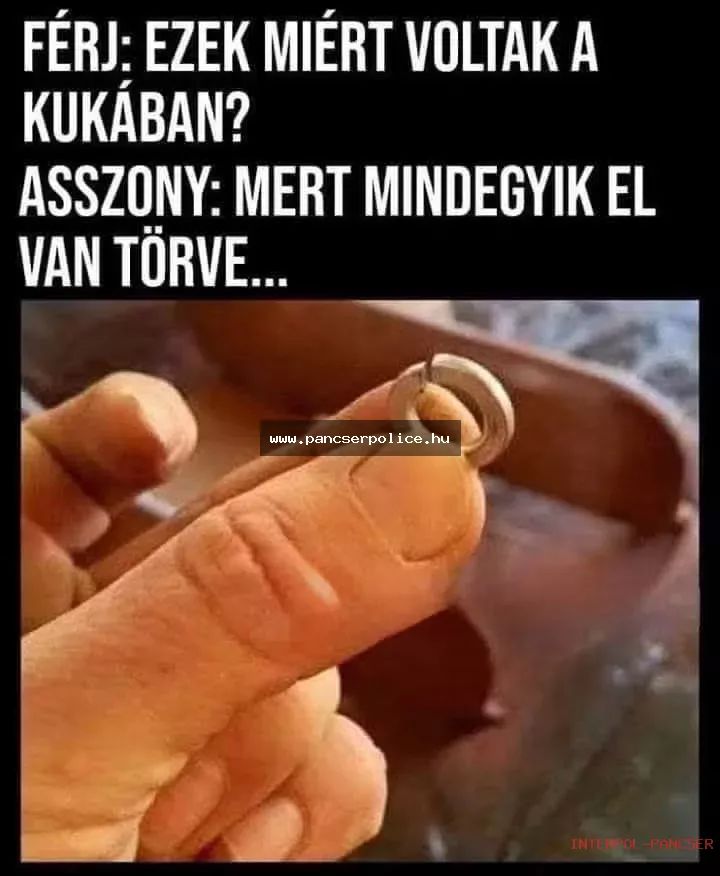 PancserPOLICE Akta #196 - A lépcsőházi filozófus a műhely sarkában diszkrét táncot lejtett a traffipax előtt kommandós sapkában.