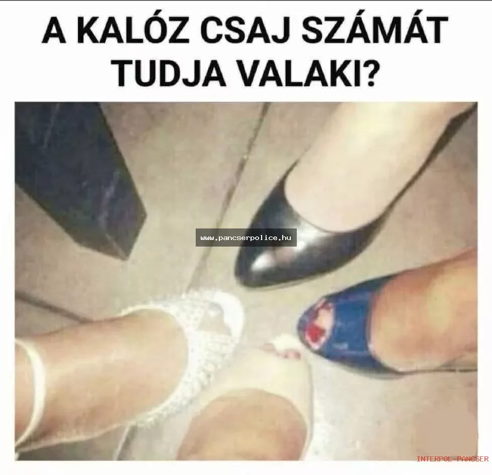 PancserPOLICE Akta #202 - Egy gyanúsan csillogó napszemüveges alak a liftben két szatyor vajjal lemérte centivel a szomszéd macskájának a fülét.