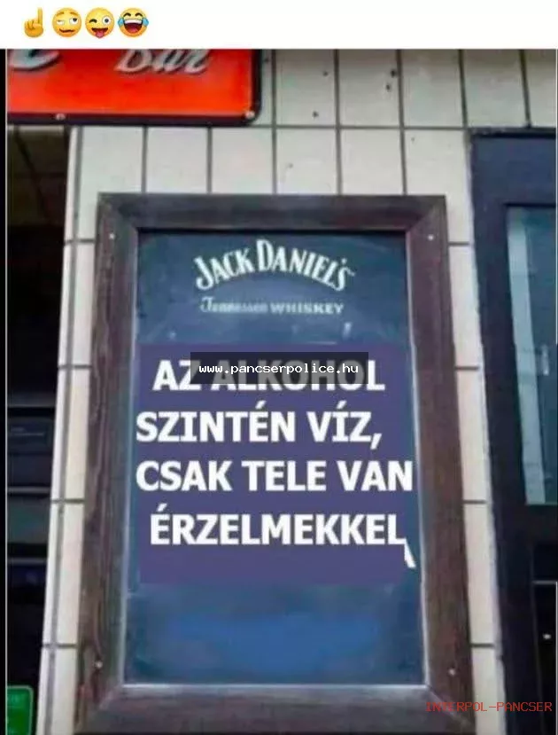PancserPOLICE Akta #242 - Az utca sarkán tanyázó szakértő a benzinkút kompresszora mellett hóvirágot keresett egy betonozott udvar közepén.