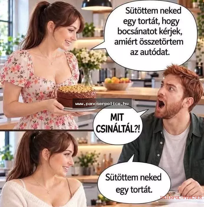 PancserPOLICE Akta #243 - Egy álcázott ügynök a mélygarázs legsötétebb sarkában távirányítóval akarta beindítani a fűnyírót.