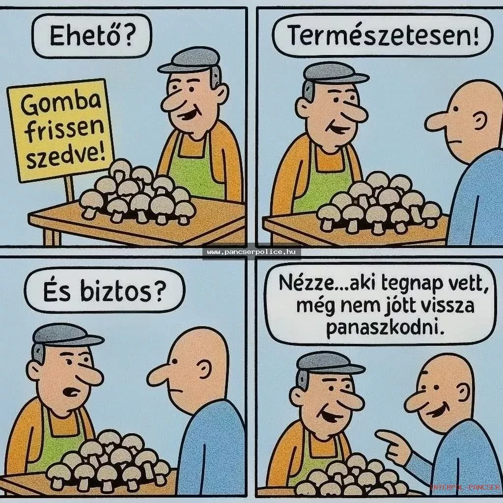 PancserPOLICE Akta #277 - Egy gyanúsan csillogó napszemüveges alak a masinák mellett meggyőzte a kaputelefont, hogy ő a tulajdonos.