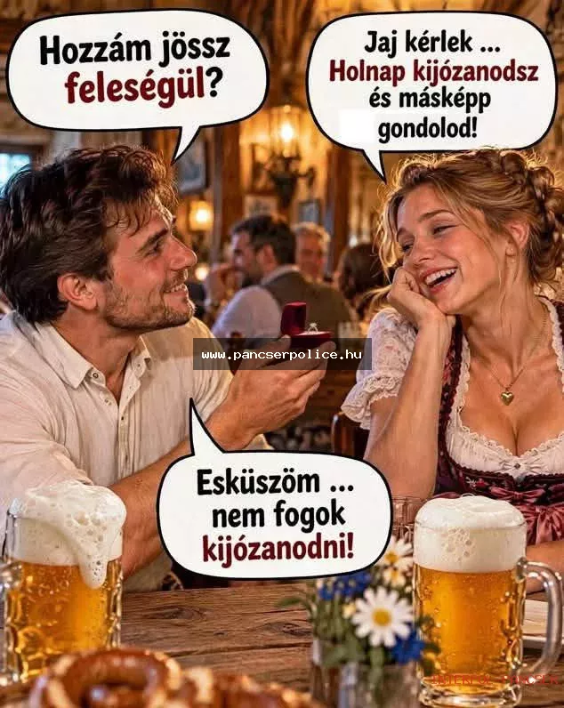 PancserPOLICE Akta #285 - A helyi lomis a traffipax tövében meggyőzte a kaputelefont, hogy ő a tulajdonos.
